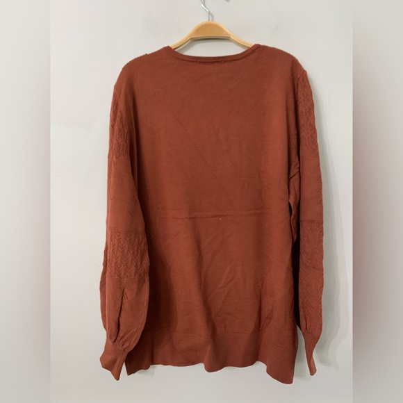 NEW NORTHSTYLE WOMENS POINTELLE SWEATER IN CINNAMON SIZE: XL - Picture 2 of 4